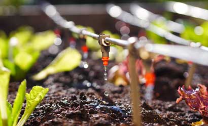 utensilios y productos para irrigación y riego automático para plantas y huertos